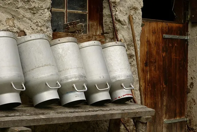 Vintage Farm tools and milk churns are lucrative treasure now