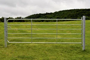 Gibneys Field Gates - D4