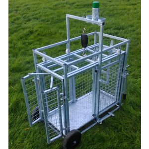 Lamb Weighing Crate - Condons