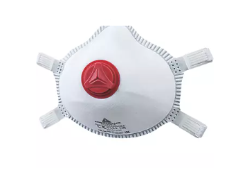 Delta Plus M1300V2 Disposable Masks (10 Pack)