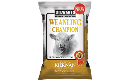 Weanling Champion 16%
